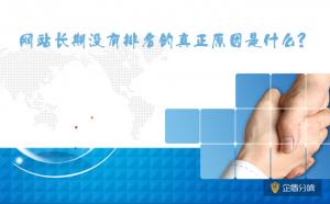 北京網(wǎng)站優(yōu)化：網(wǎng)站長期沒有排名的真正原因是什么？